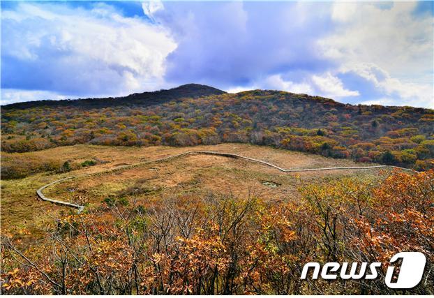 대암산 용늪 전경(환경부 제공) © 뉴스1