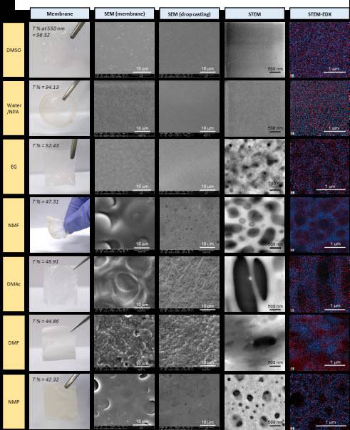 이오노머 분산 용매에 따른 양성화된 포스폰산 필름 모습과 전자현미경으로 살펴본 필름 미세구조 및 원소 분석