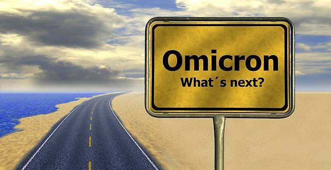 지금까지 코로나19의 우려 변이는 6개월마다 출현해 왔다. 픽사베이