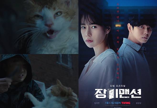 iMBC 연예뉴스 사진