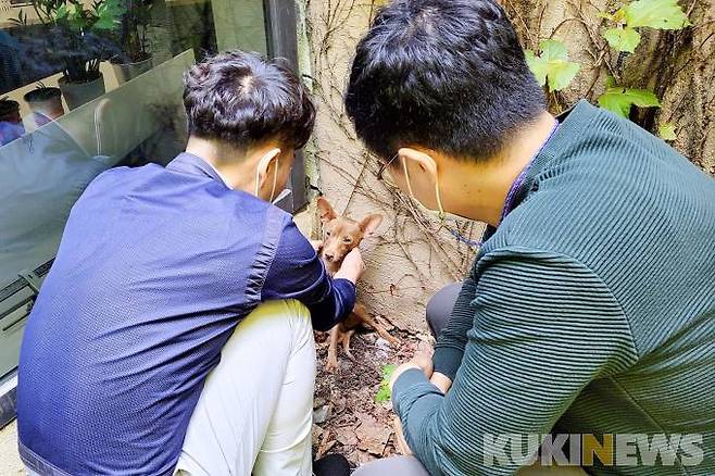 하이원리조트 반려견 구조(사진=하이원리조트 제공)