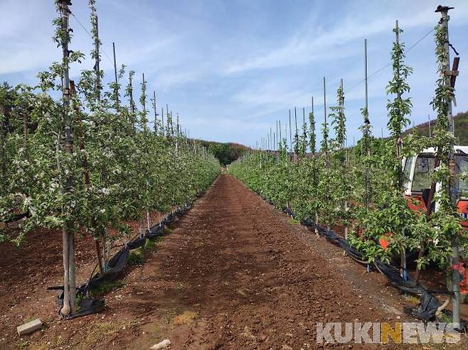 사진=동해시청 제공