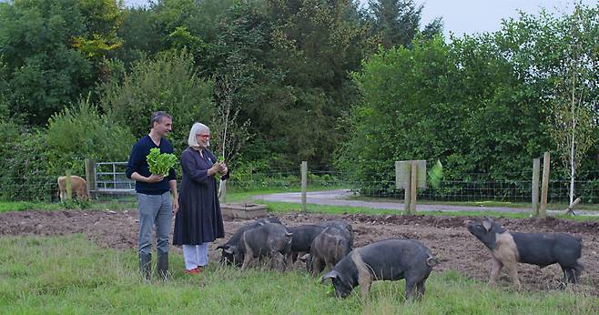 넷플릭스 '필이 좋은 여행'