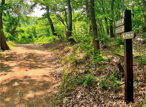 등산로 정비 [진천군 제공. 재판매 및 DB 금지]