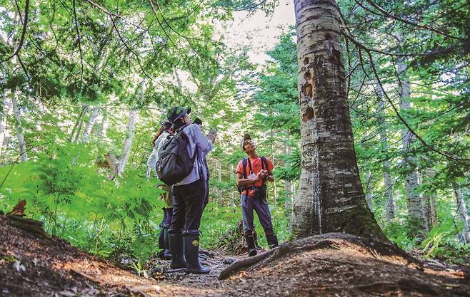 야생길 가이드 워크
