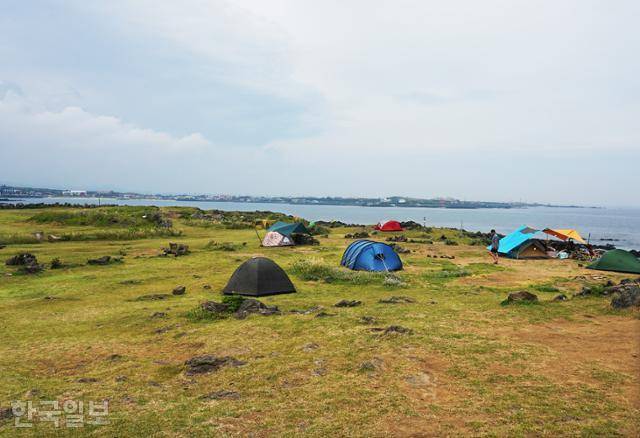 비양도의 초원은 캠핑 마니아들에게 소문난 곳이다.