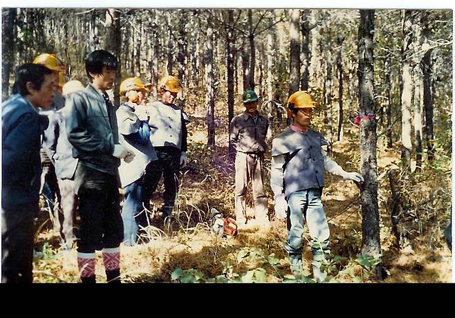 소호 참나무숲에서 작업하는 한독기구와 협업체 [백년숲사회적협동조합 제공]