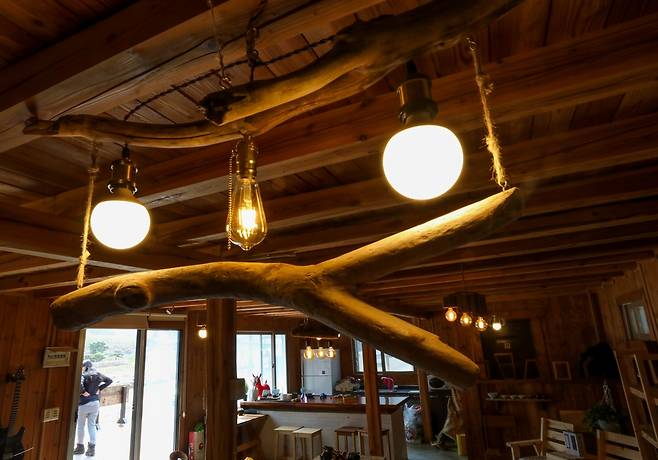 숲정이에서 주워온 목재로 만든 나무조명 [사진/진성철 기자]