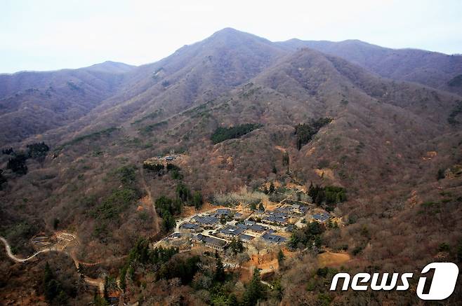 선암사.(순천시 제공)/뉴스1 © News1 지정운 기자