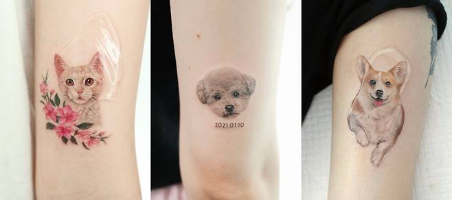 반려동물 전문 타투이스트 신환히씨가 직접 그린 작품들. /신환히씨 제공