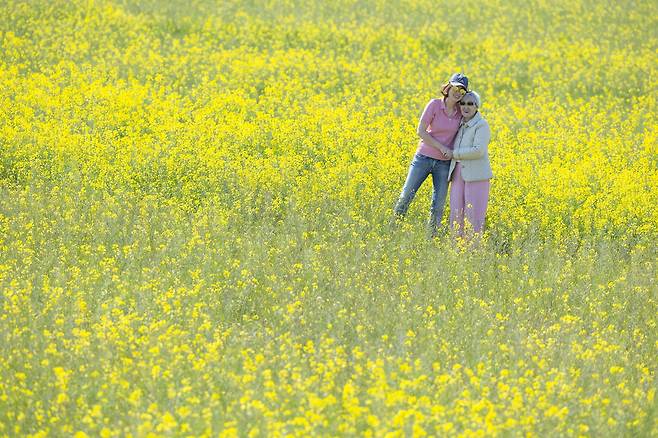 꽃을 좋아하는 어머니를 위해 유채꽃 흐더러진 밭두렁에 모녀가 섰습니다. 딸은 어머니가 차라리 좋은 기억만 갖는 게 나을 수도 있겠다는 생각이 든다고 합니다. 모녀가 바라보는 이 풍경 또한 또 다른 삶을 사는 어머니에게 좋은 기억으로 간직되기를 바라는 마음인 겁니다.
