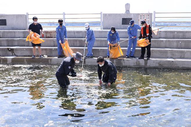 포스코 포항제철소 직원들이 영일만항 북방파제 인근에서 쓰레기를 수거하고 있다. 포스코 제공