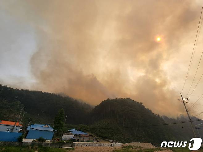 28일 낮 12시쯤 경북 울진군 근남면 행곡리의 한 야산에서 발생한 불이 바람을 타고 울진읍 쪽으로 확산되고 있다. 산림당국은 산불전문진화헬기 등 25대와 장비 34대, 공무원 등 200여명을 투입 진화작업을 벌이고 있다.(독자제공)2022.5.28/뉴스1 © News1 최창호 기자