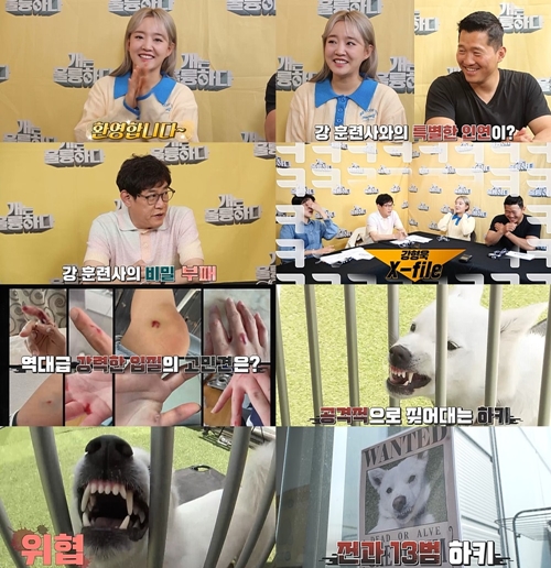 ‘개훌륭’ 윤하 강형욱 훈련사 사진= KBS2 ‘개는 훌륭하다’