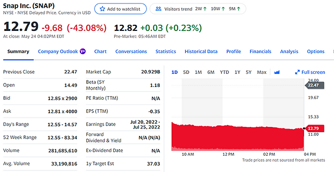 24일 스냅 주가 하락폭 /출처=구글