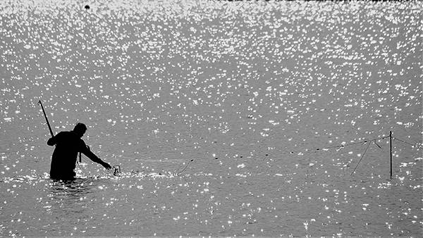 ‘어쩌다 어부’. 섬마을에 작은 집을 마련해두고 주말이면 내려와 그물을 놓는다.