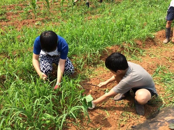 꿈틀리인생학교에서 학생들이 농사를 짓는 모습. 꿈틀리인생학교 제공