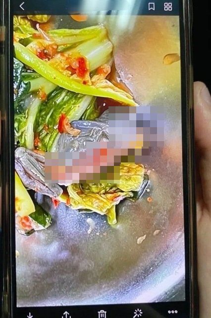 30일 서울 강서구 소재 한 고등학교가 점심 급식으로 나온 열무김치에서 개구리 사체가 발견됐다고 밝혔다. 트위터에는 당시 배식된 열무김치를 찍은 사진이 올라오고 있다. /트위터