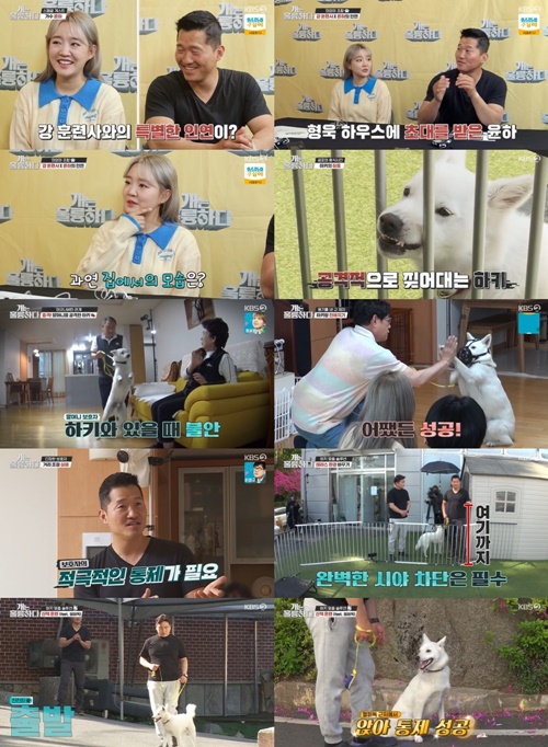 사진=KBS2 ‘개는 훌륭하다’ 캡처