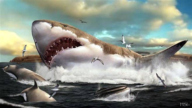 지구에서 가장 컸던 상어인 메갈로돈이 작은 고래들을 사냥하는 모습의 상상도./HUMBERTO FERRÓN