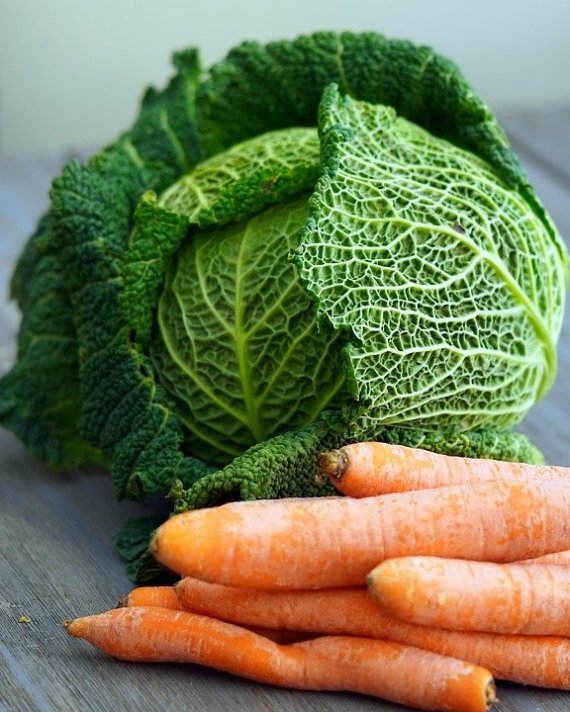 프리바이오틱스 섬유질은 건강하고 신선한 채소를 통해 쉽게 섭취할 수 있다. 신선한 음식을 간식이나 특식으로 챙겨준다면 변비를 완화하는 데 도움이 된다. ⓒUnsplash