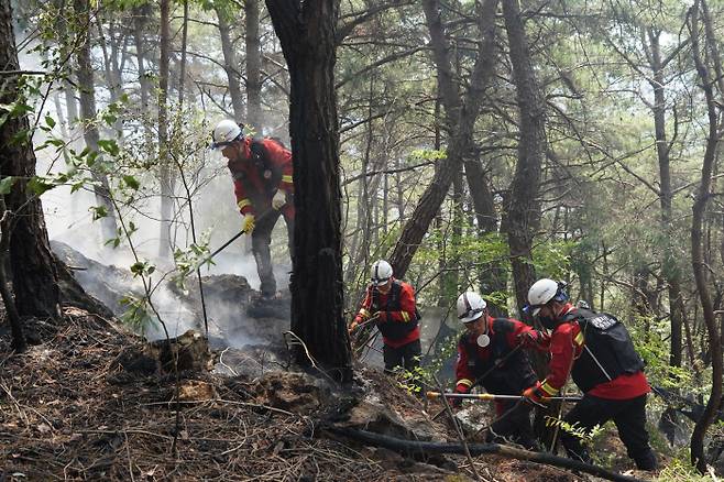 산불재난특수진화대가 경남 밀양시 부북면에서 산불을 진화하고 있다. 산림청 제공