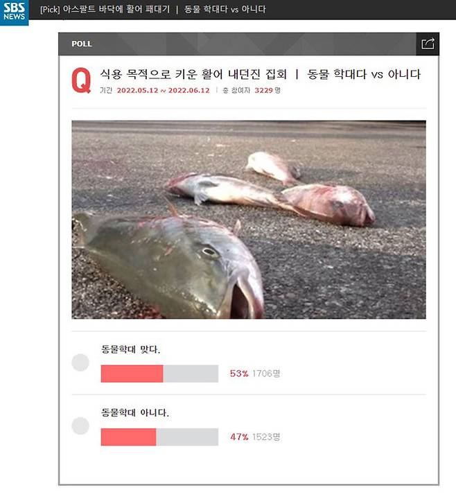 지난달 12일 SBS 디지털뉴스국 PICK팀에서 진행한 온라인 설문조사. 살아있는 활어 내던진 집회, 동물학대다 53% vs 동물학대 아니다 47%로 나타났다.