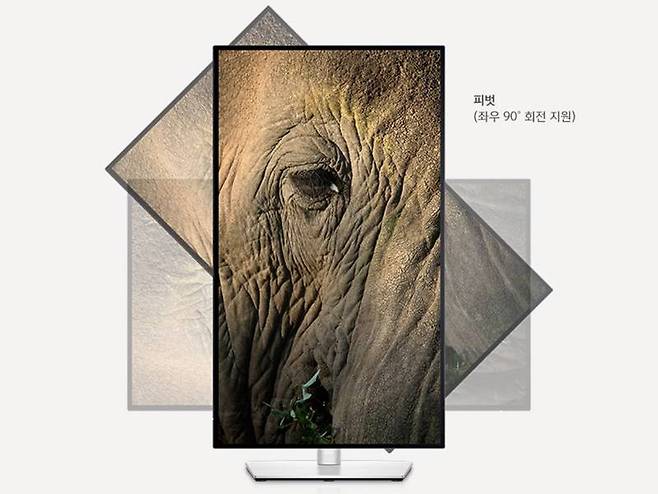 피벗을 지원하는 델의 U2722D. 출처=델