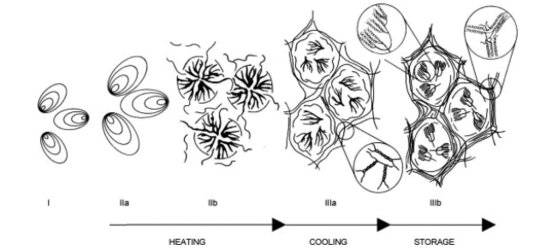 쌀의 전분이 열과 압력에 따라 변화해 가는 과정. Starch Retrogradation: A Comprehensive Review