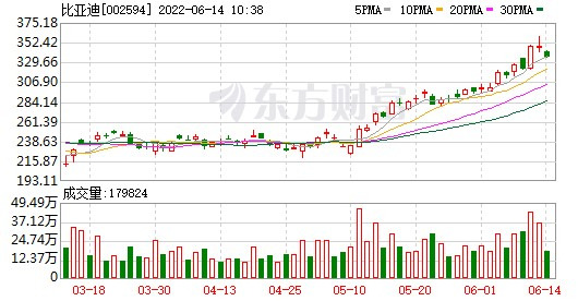 BYD 주가 추이/사진=동팡차이푸 캡처