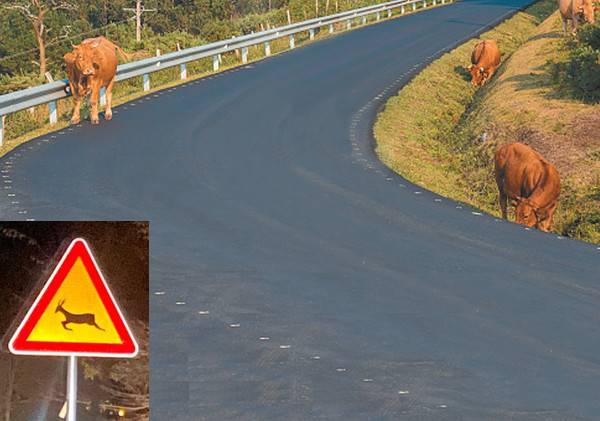 사진=게티이미지