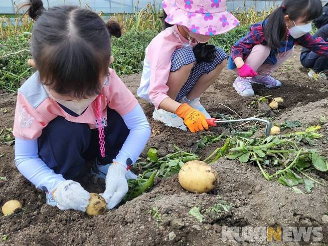 대전어린이집 영유아들이 '무수천하마을'에서 농촌체험 교육을 하고 있다. 
