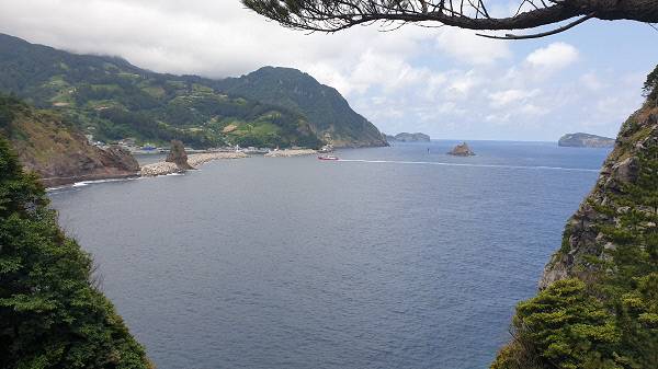 행남 산책로 끝자락에 있는 등대로 올라가는 길에 찍은 저동항의 모습/김찬호 기자