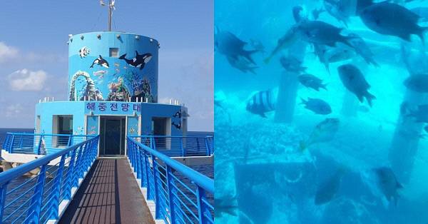 천부항에 있는 해중전망대(왼쪽)와 그 내부로 내려가면 볼 수 있는 바닷속 모습/김찬호 기자