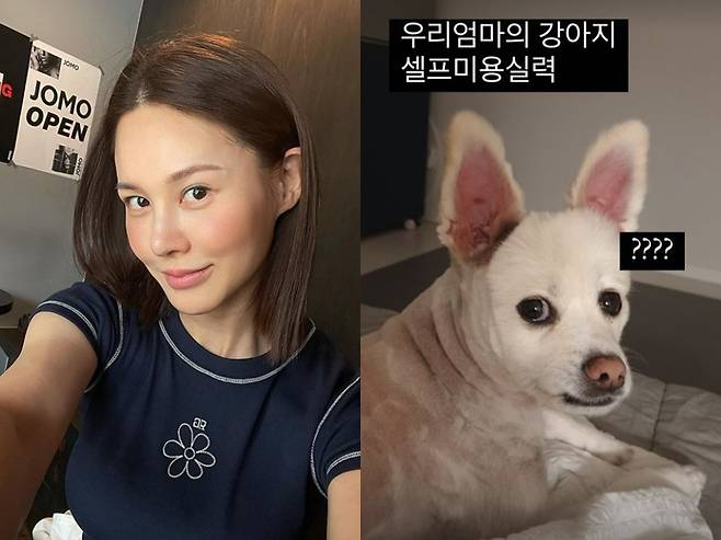 ▲ 출처| 아이비 인스타그램