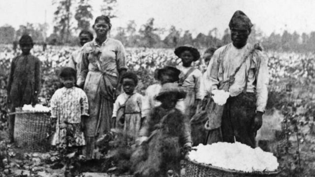 미국 남부 목화 플랜테이션에서 강제 노동에 시달리던 흑인 노예들./사진제공=황소자리