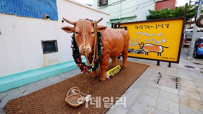 소막마을로 불리는 부산 우암동에 설치된 황소 조형물