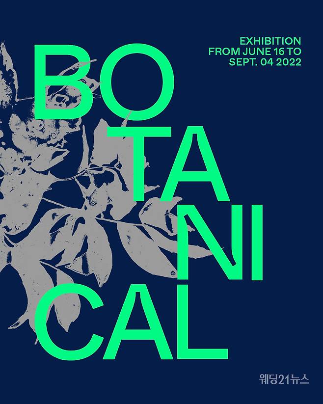 사진 제공 : 쇼메