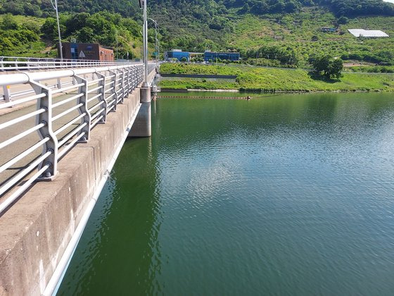 지난달 16일 녹조가 발생한 낙동강 함안보의 모습. 연합뉴스 [낙동강네트워크 제공]