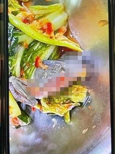 지난 달 30일 서울 강서구 A 고등학교 급식으로 열무김치에서 개구리 사체 일부가 발견됐다. [SNS 캡처]