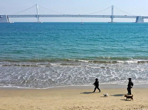 부산 광안리해수욕장. 연합뉴스