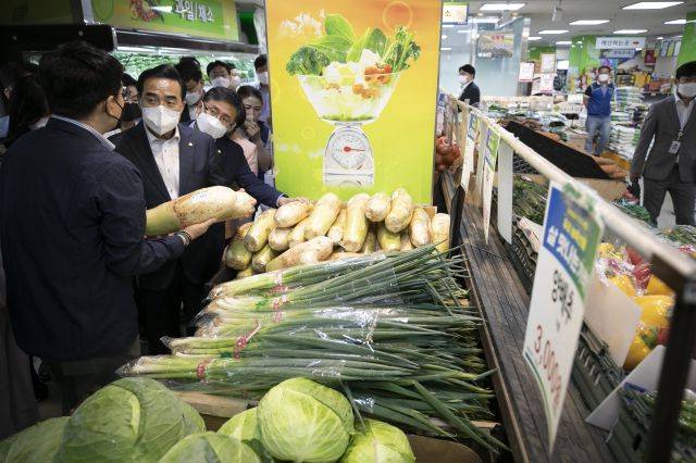 더불어민주당이 지난 15일 서울 영등포구 농협하나로마트 여의대방로점을 찾아 채소 등 먹거리 가격을 확인하고 있다. 국회사진기자단