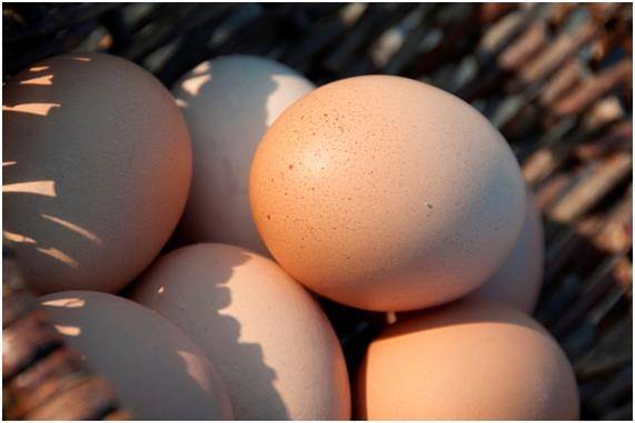 [사진=게티이미지]