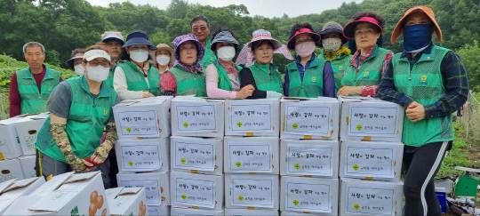 공주시 금학동 새마을회(회장 김용식, 부녀회장 국명옥)는 이웃사랑 실천을 위한 '사랑의 감자 나눔' 행사를 펼쳐 온정의 나눔을 실천했다.사진=금학동 제공