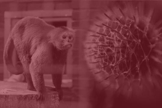 사진=게티이미지뱅크