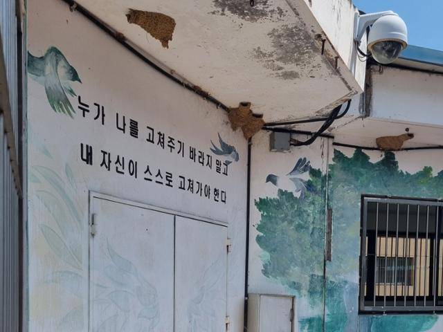 치료감호소엔 질병·장애와 범죄로 인해 가족과 관계가 소원하거나 아예 단절된 수용자가 적지 않다. 2010년부터 10년간 퇴소한 피치료감호자 중 36%만이 보호자에게 인수됐다. 다른 이들은 민간 정신병원이나 교도소 등 '또 다른 시설'로 옮겨 갔다는 의미다. 조성남 원장은 "퇴소하는 환자들이 지낼 민간 병원이나 시설을 찾아주는 일도, 사회복지사 인력이 부족해 쉽지 않다"고 설명했다. 공주=최나실 기자