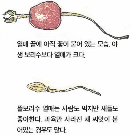 우리 주변 식물들의 비밀 이야기