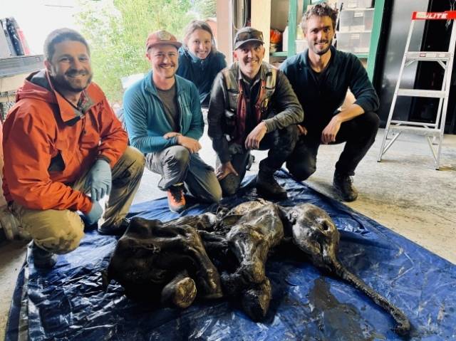 @WaterSHEDLab 트위터 캡처