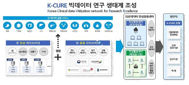 'K-CURE(임상 데이터 네트워크)' 사업 개요 [보건복지부 제공. 재판매 및 DB 금지]