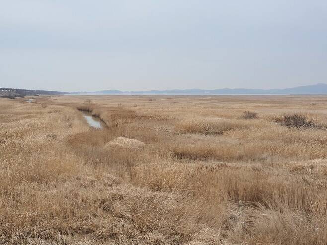 수원비행장 이전 예비후보지로 선정된 경기 화성시 우정읍에 있는 화성호 간척지 화옹지구 전경. 이정하 기자